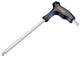 Icetoolz zekenschekhok haaks m8x21