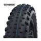 SCHWALBE TIRE JUMBO JIM EVOL.line 110-559