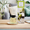 Ipuro ipuro geurdiffuser lime lumière 100 ml