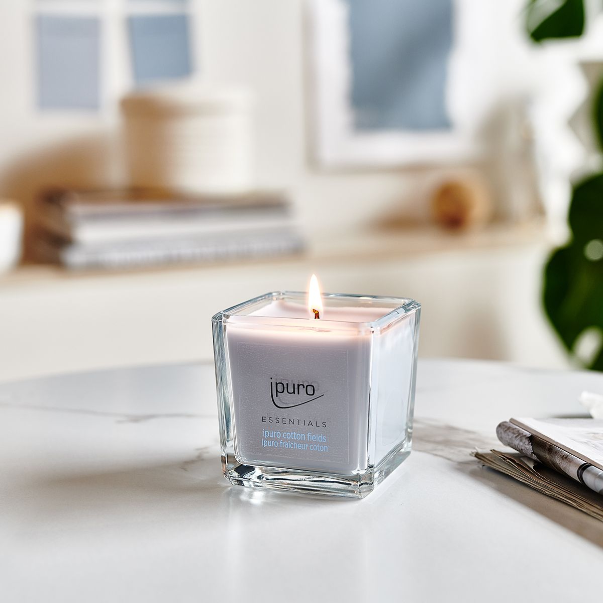 Ipuro Ipuro Sgenced Candle Cotton Fields 125GR.