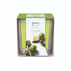 Ipuro ipuro parfumé à la bougie LIME LIGHT 125GR.