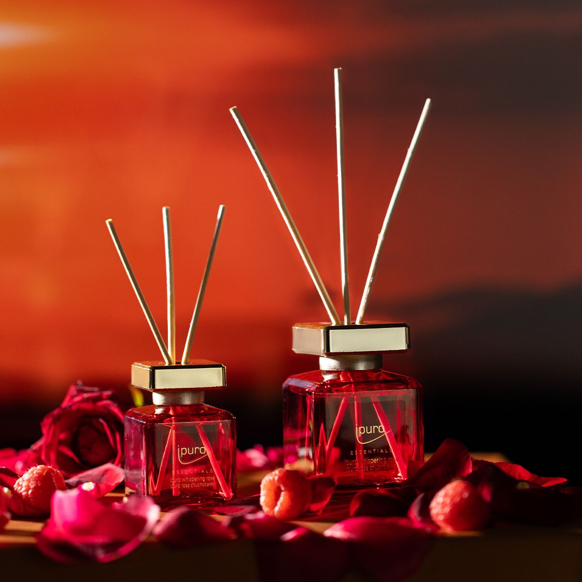 Diffuseur de parfum Ipuro rose murmurante 50ml