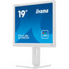 Iiyama Prolite B1980D-W5