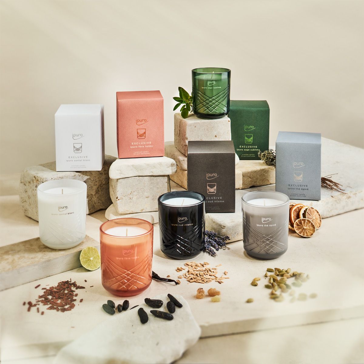Ipuro ipuro sgence bougie Santal Blanc 270gr