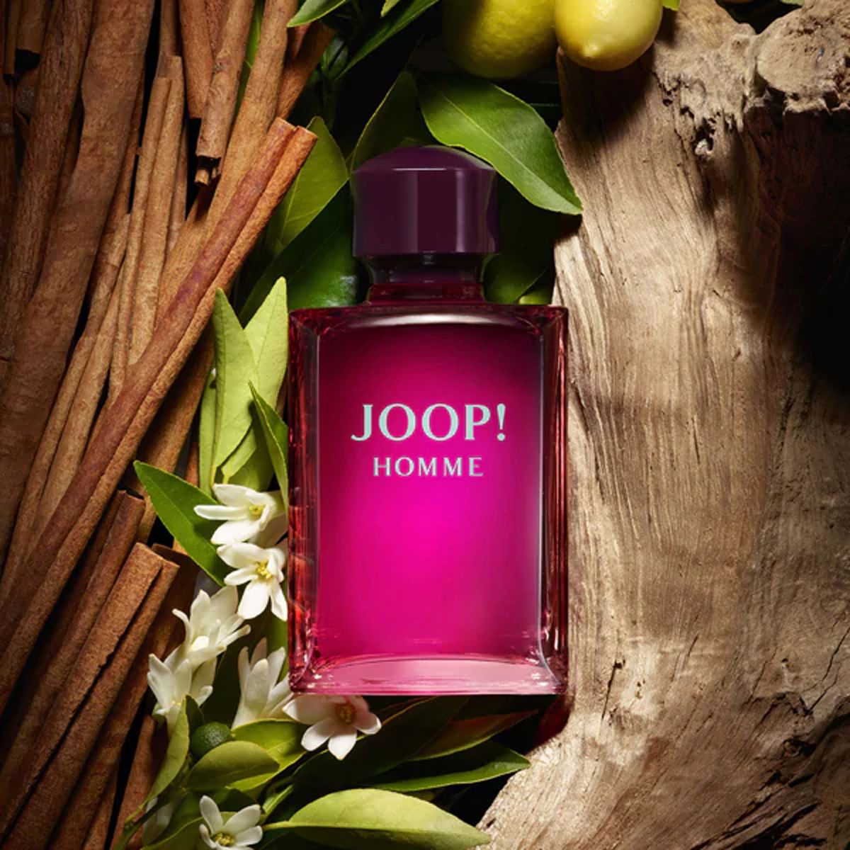 Joop! Joop Homme Eau de Toilette Spray 125 ml hommes