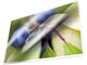 Pochettes de plastification Kangaro a4 paquet de 25 feuilles