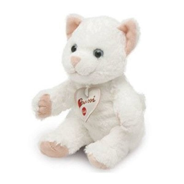 Chat 20cm
