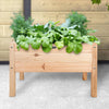 Table de culture pour enfants design Esschert en bois