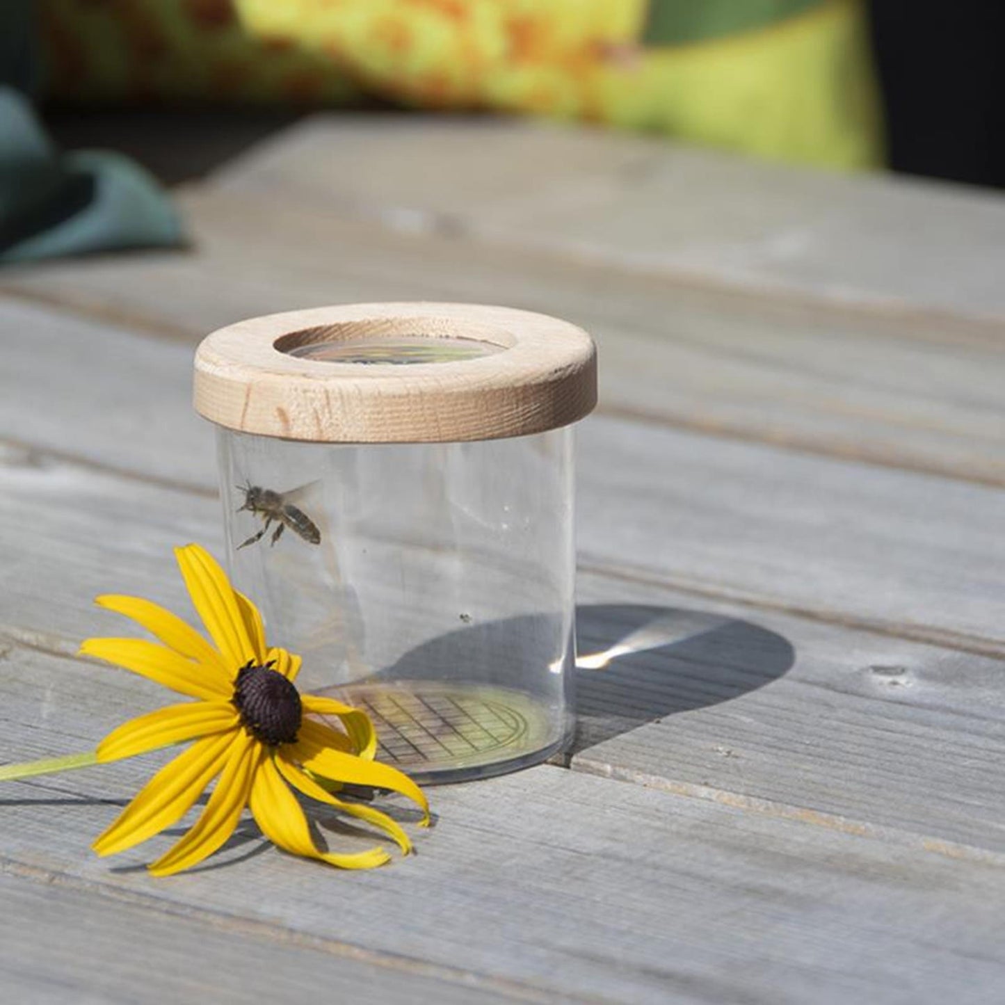 Boîte d'étude en bois design Esschert