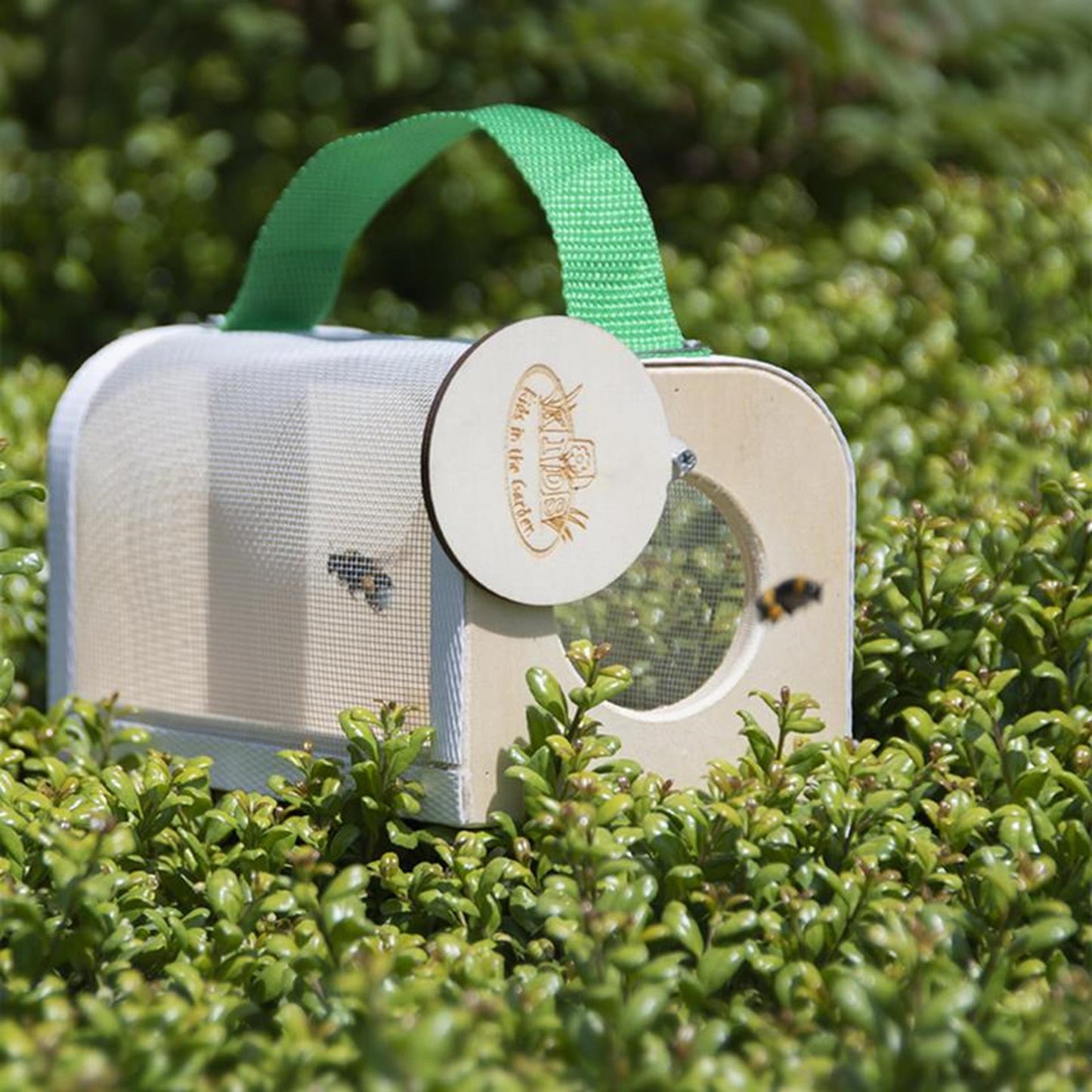 Boîte d'étude en bois design Esschert