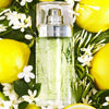 Lancome Lancome Eau de Toilette Spray Mesdames ô de Lancome 75ml