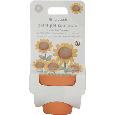 Petit pot de fleurs hollandais tournesol