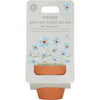 Petit pot hollandais de myosotis