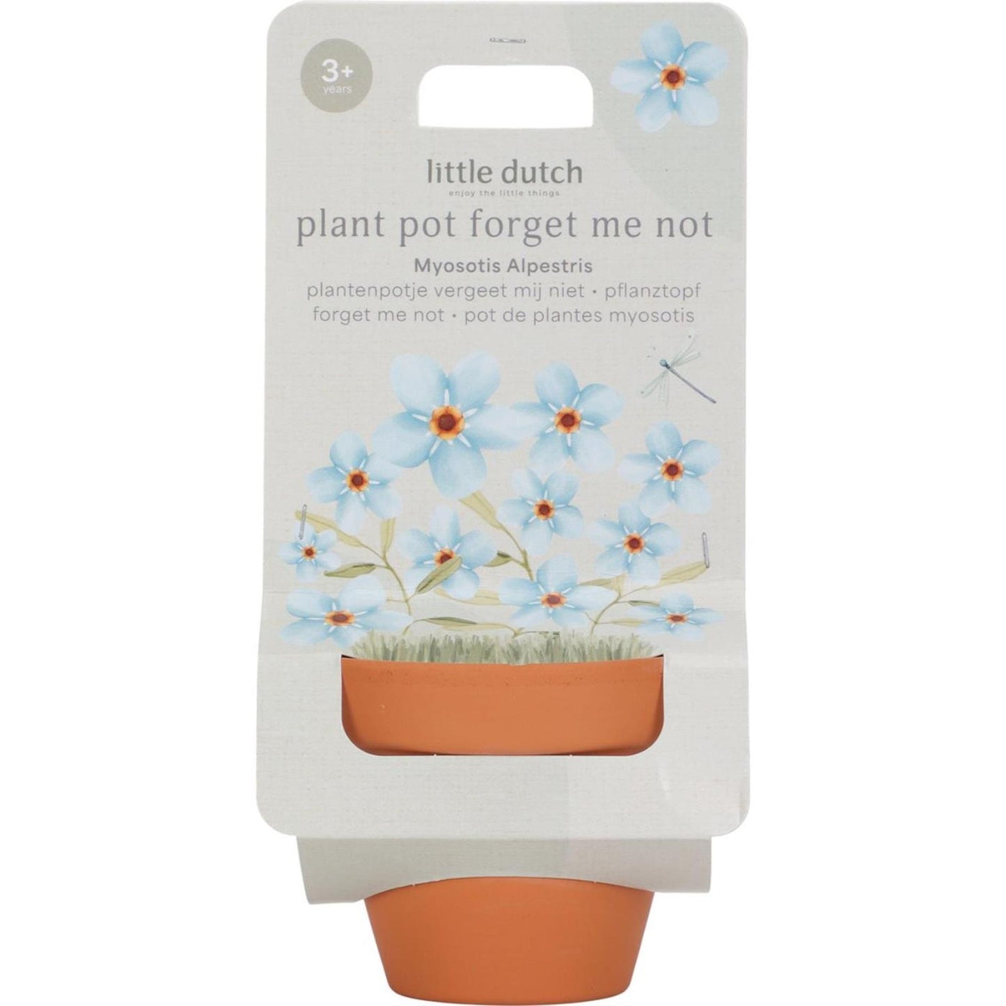 Petit pot hollandais de myosotis
