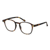 Spectre Spectrum Lunettes de lecture ultra plate dans le cas de La Havane 1.00