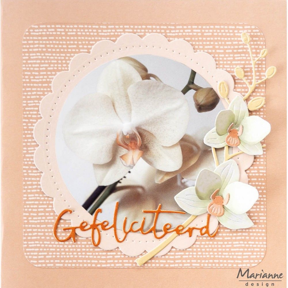Marianne design • félicitations créables