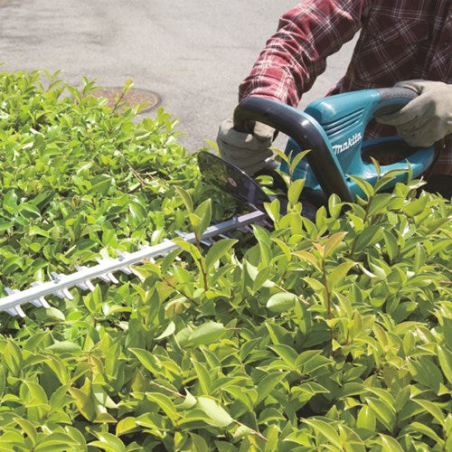 Taille-haie Makita 55cm 230v