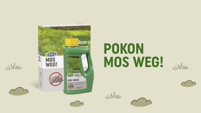Pokon mousse loin 25 m2 875gr