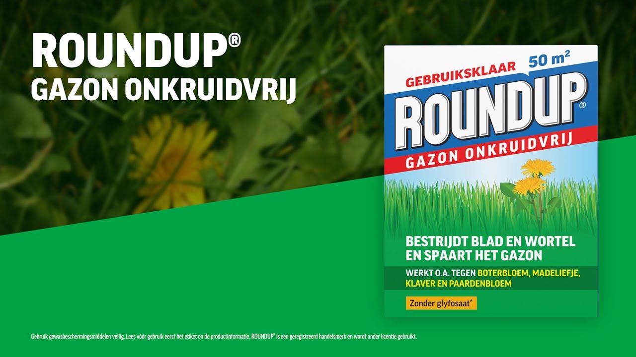 Roundup pelouse sans mauvaises herbes 1kg