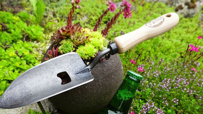 Ouvre-bouteille à pelle à plantes blanche x manche en frêne treme 140mm dewhite