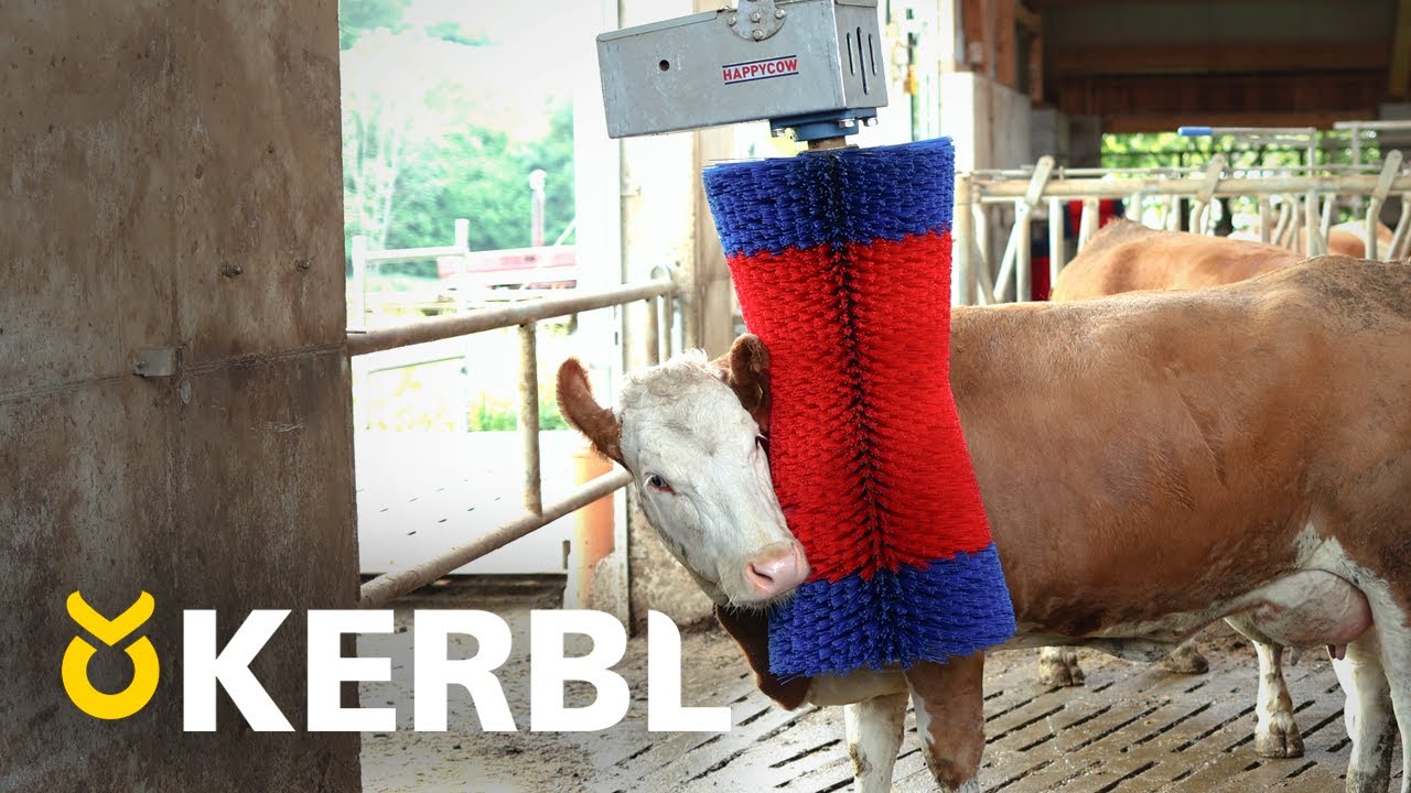 Brosse à vache Happycow maxiswing
