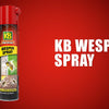 Kb control kb spray guêpe 400ml