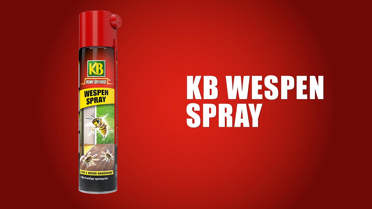Kb control kb spray guêpe 400ml