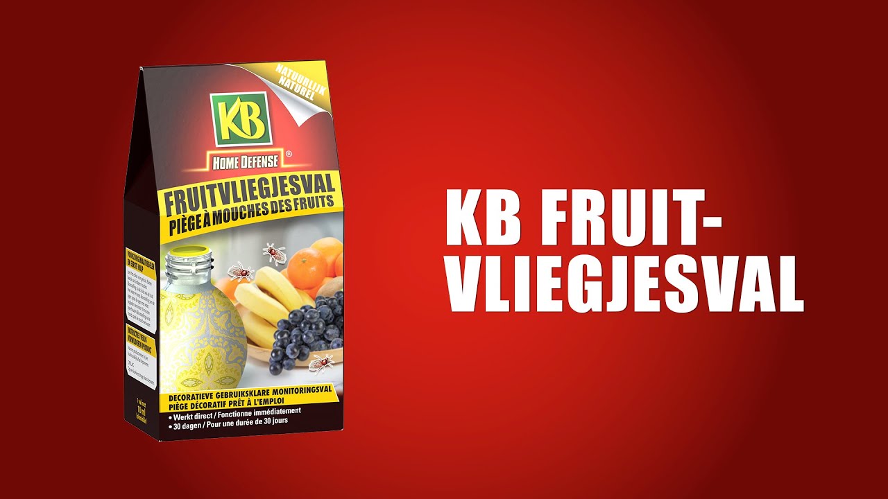 Kb control kb piège à mouches des fruits 1er