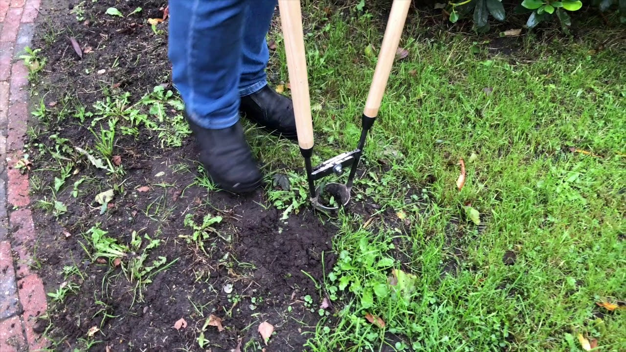 Le cache-pot à bulbes blanc avec 2 tiges de frêne 75cm dewhite