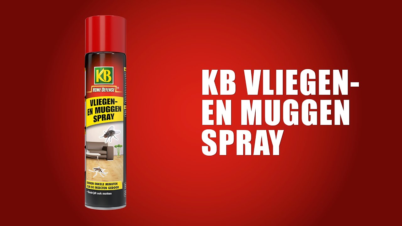 Kb control kb mouches et moustiques spray 400ml