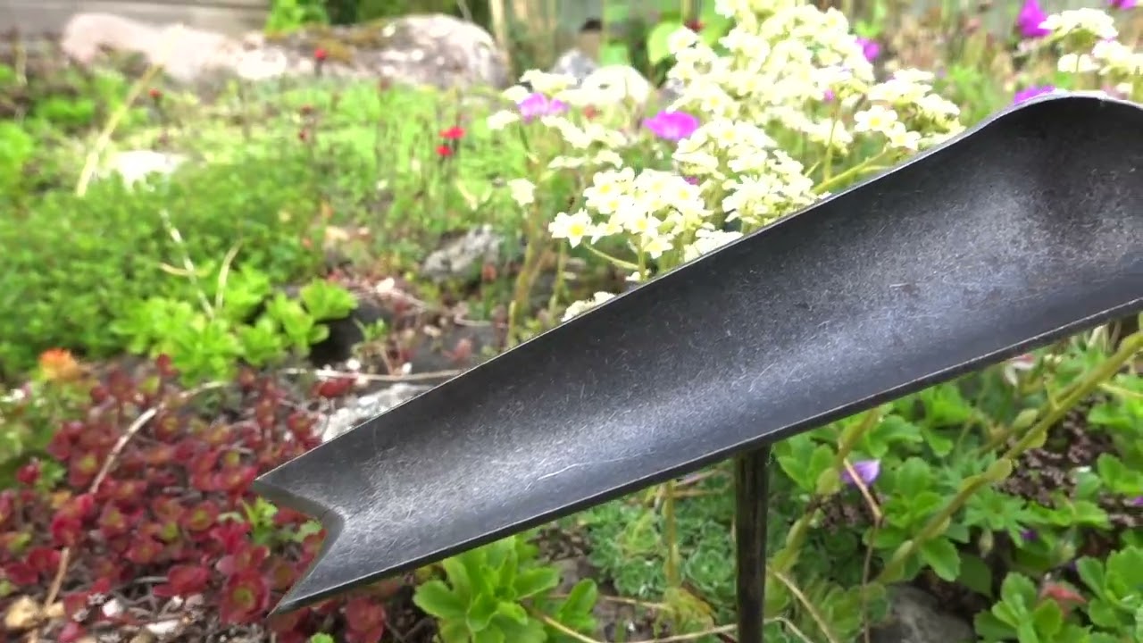 La pelle à mauvaises herbes blanche manche en frêne 140mm t