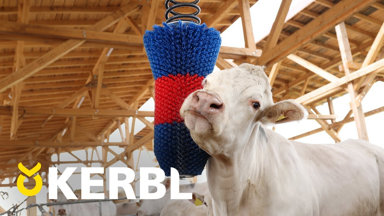 Brosse à bovins Happycow flexiswing