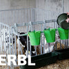 Bol alimentaire suspendu en plastique 100cm
