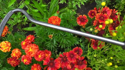 Le cultivateur blanc 1 dent manche frêne 140cm dewhite