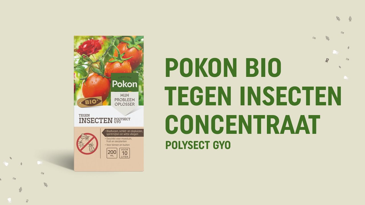 Pokon bio concentré anti-insectes 225ml polysect gyo