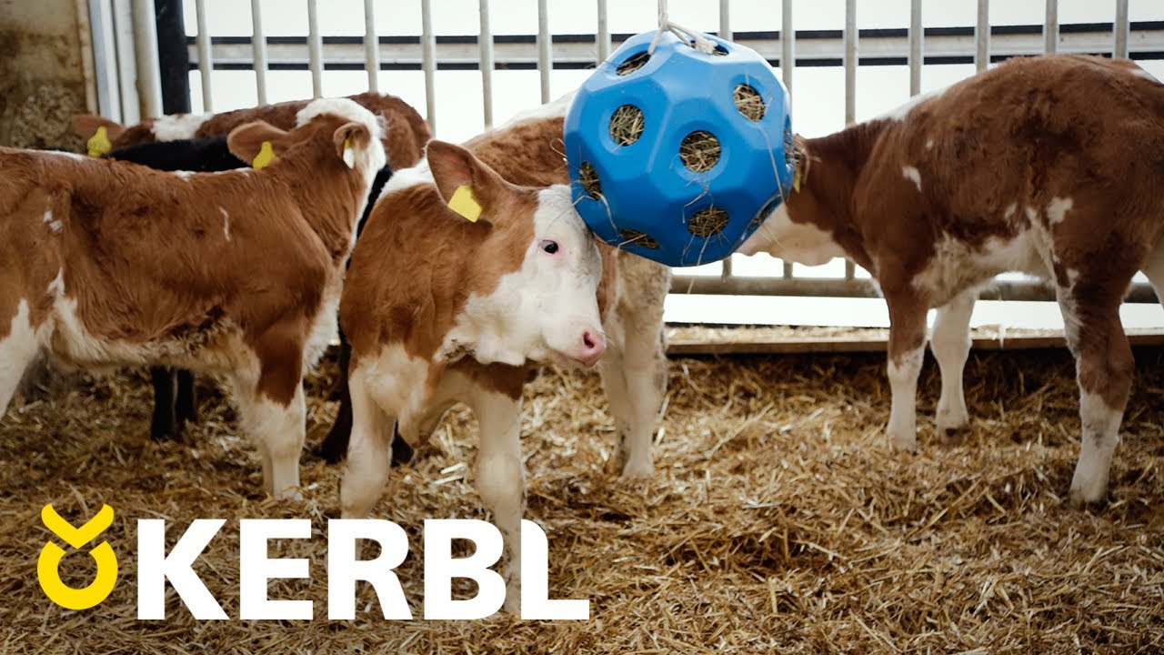 Boule d'alimentation bleue