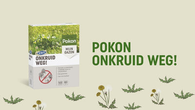 Pokon désherbe 5kg 250 m2