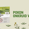 Pokon désherbant 120 m2 2400 gr