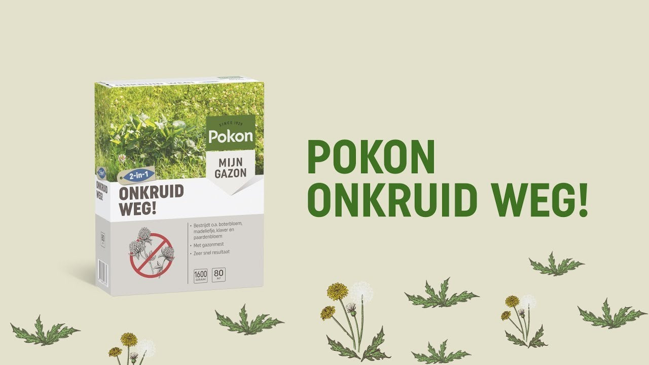 Pokon désherbant 120 m2 2400 gr