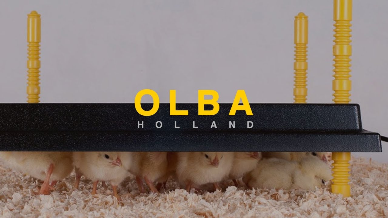 Olba products plaque chauffante pour poussins 30x30cm 22watt
