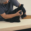 Moser Hair Clipper Rex 1230 Black