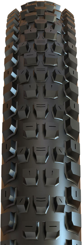 Pneu pliable Maxxis dissector ii 29x2,40 wt exo tr 3c maxxterra e-25