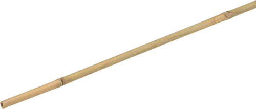 Meister bâton de plante bambou 180cm - wu9966460