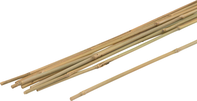 Meister bâton de plante bambou 75cm (10 pcs) - wu9966390