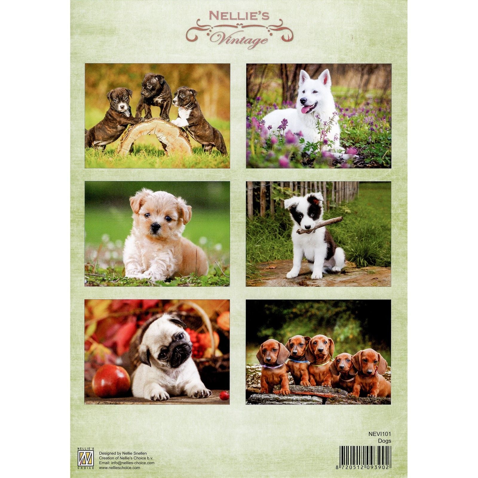 Le choix de Nellie • feuille découpée vintage de chiens a4