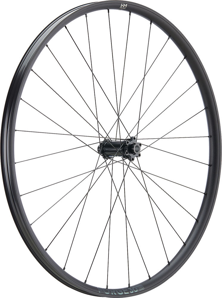 Roue avant Newmen forge 30 light xc 29 6 boulons 15x110 fade