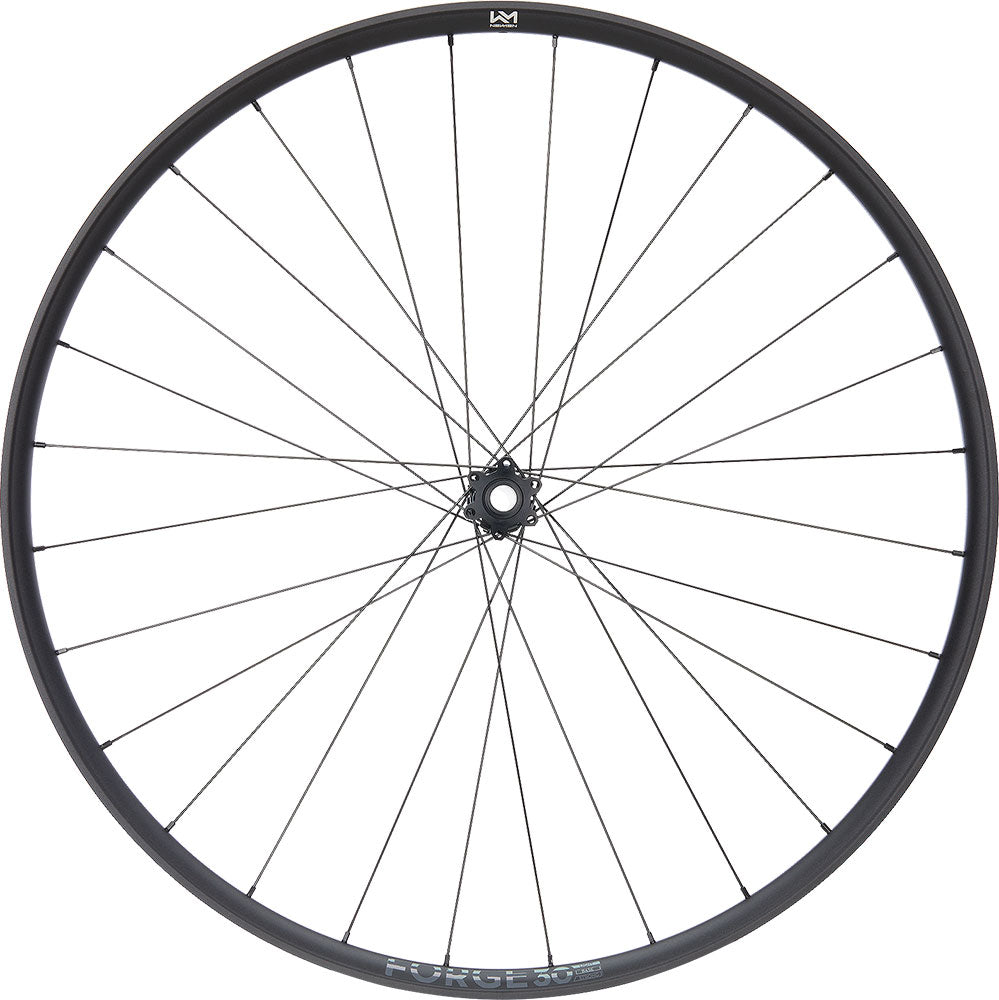 Roue avant Newmen forge 30 light xc 29 6 boulons 15x110 fade