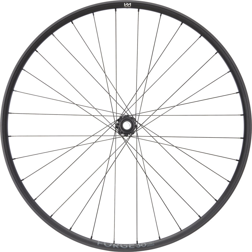 Roue avant Newmen forge 30 strong enduro 29 6 boulons 15 20x110 fade