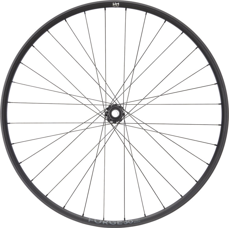 Roue avant Newmen forge 30 strong enduro 29 6 boulons 15 20x110 fade
