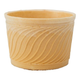 Bol comestible Njoy (135x 250cc)